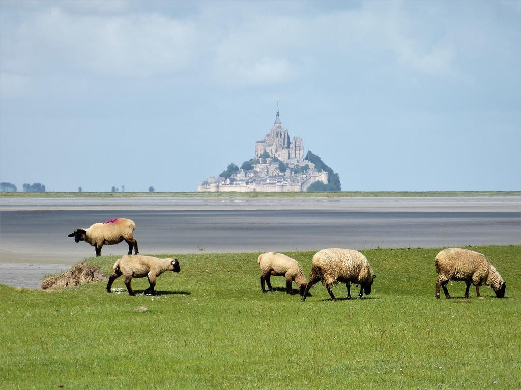 Вілла Le Diamant Le Minihic-sur-Rance Екстер'єр фото